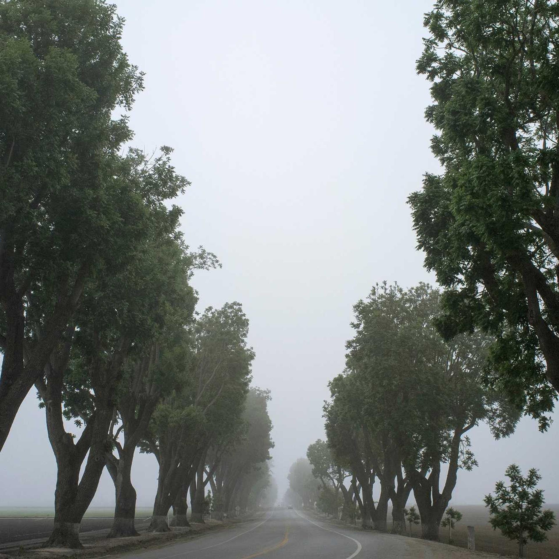 Corporis doloremque sunt.