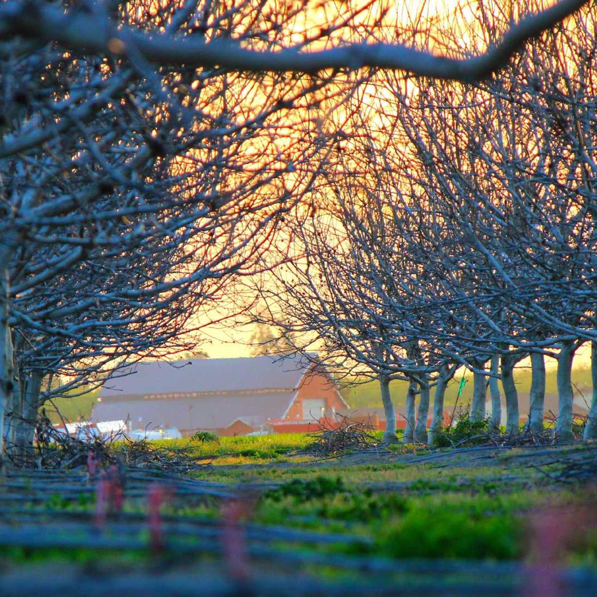 Distinctio sit repellendus volup...