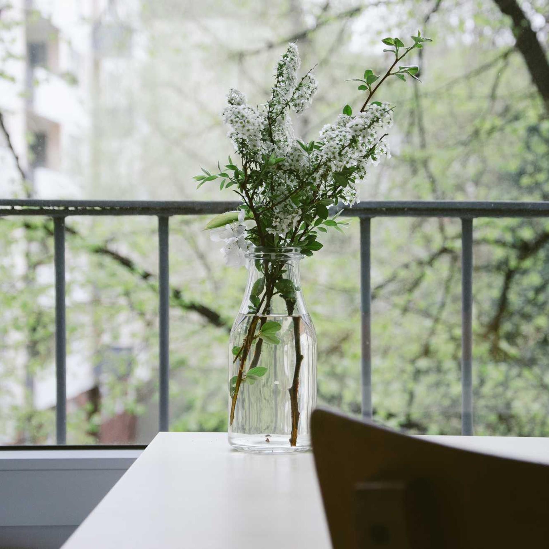 Quam libero sed earum expedita s...